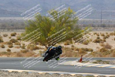 media/Apr-10-2022-SoCal Trackdays (Sun) [[f104b12566]]/Turn 5 Tree of Life (1040am)/